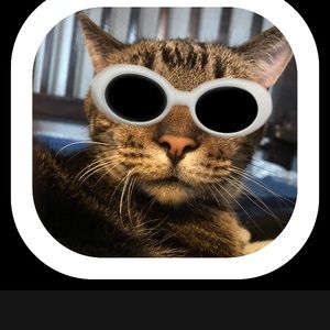 Meet your Posher, Micah